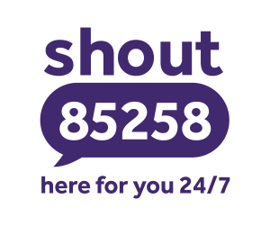 Shout Logo